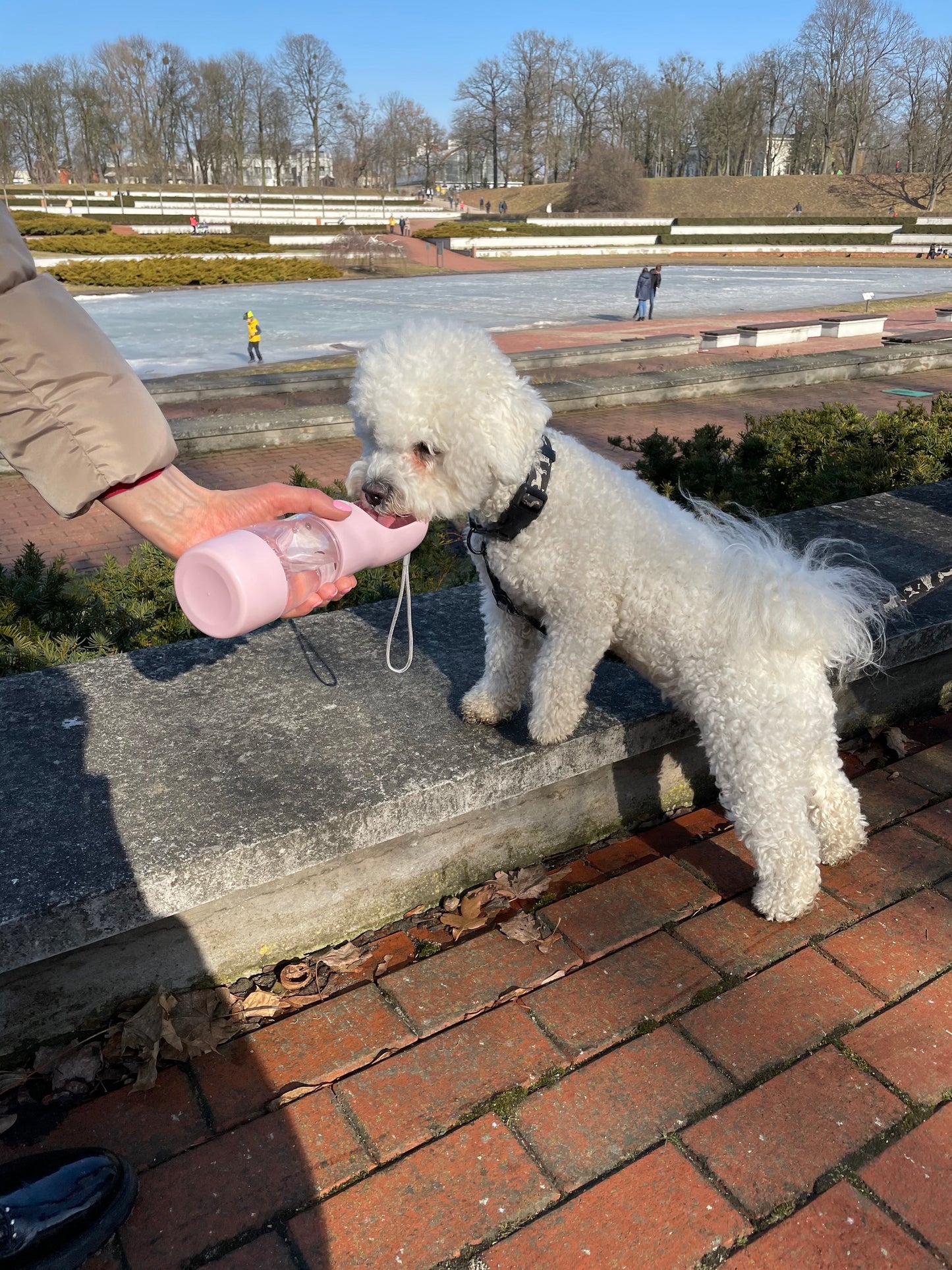 Botella Portátil Pawly 2en1 — Agua y Comida para Perros y Gatos