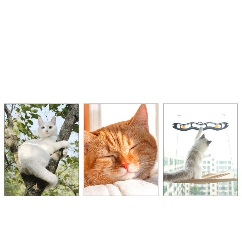Hamaca para Gatos con Ventosa – Pawly